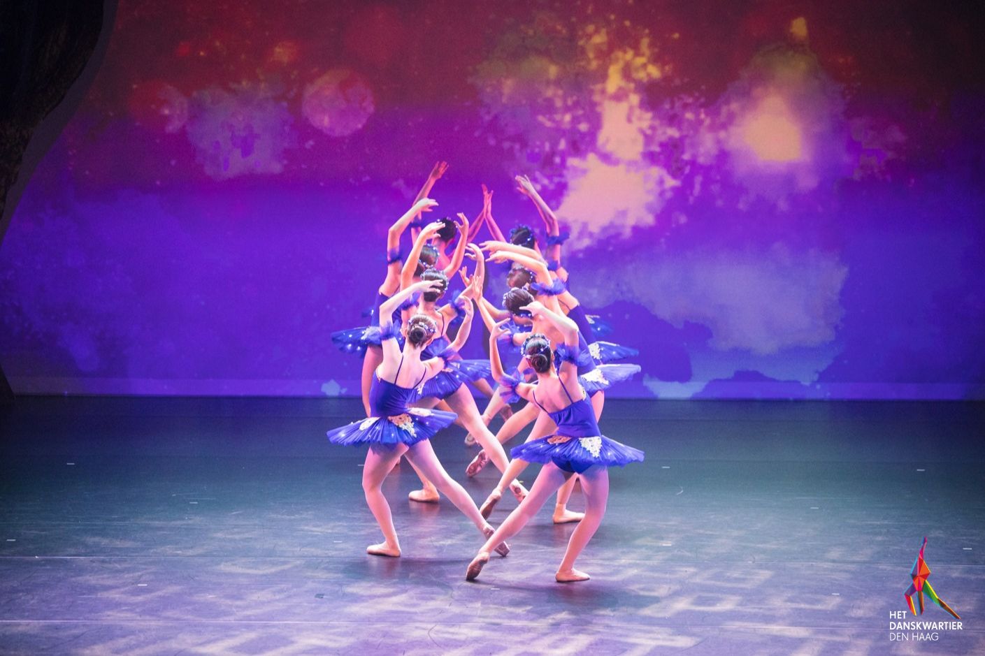 Klassiek ballet bij Dansschool het Danskwartier Den Haag